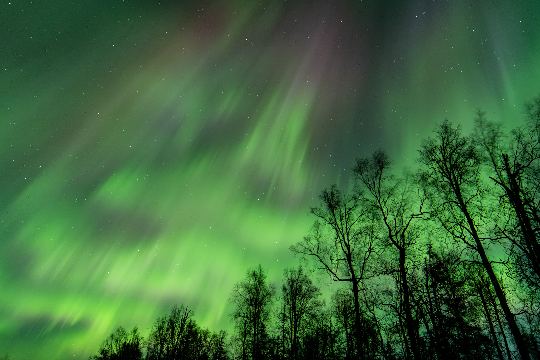 Aurora pulsating patches