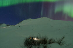 Women and her dog enjoy the lights and a fire 1 dsc 3988