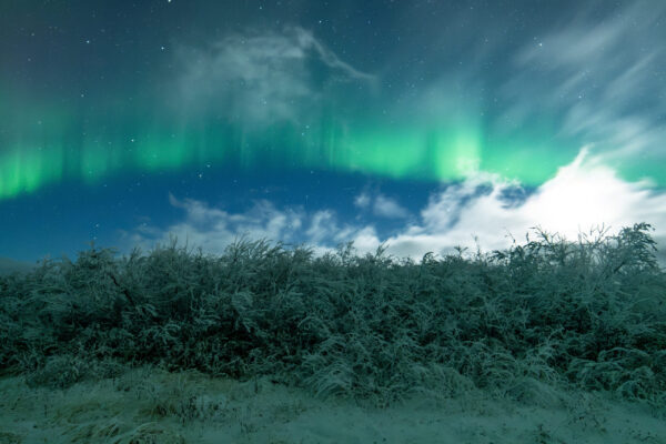 Moon, Clouds, and the Aurora over frosted landscape 21 dsc 8692