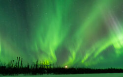 Moon set with sky filled green aurora over boreal forest/plains dsc 4268